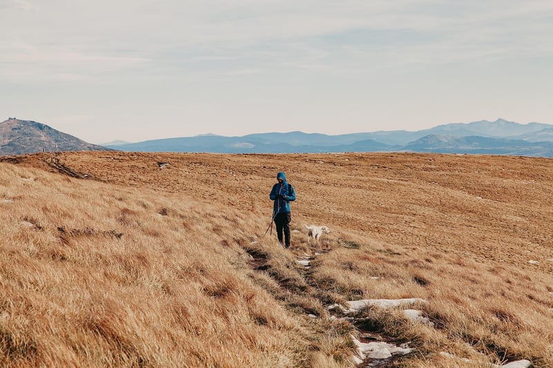 Challenging Adventures