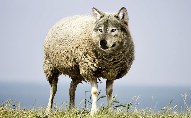 Fabled Animals