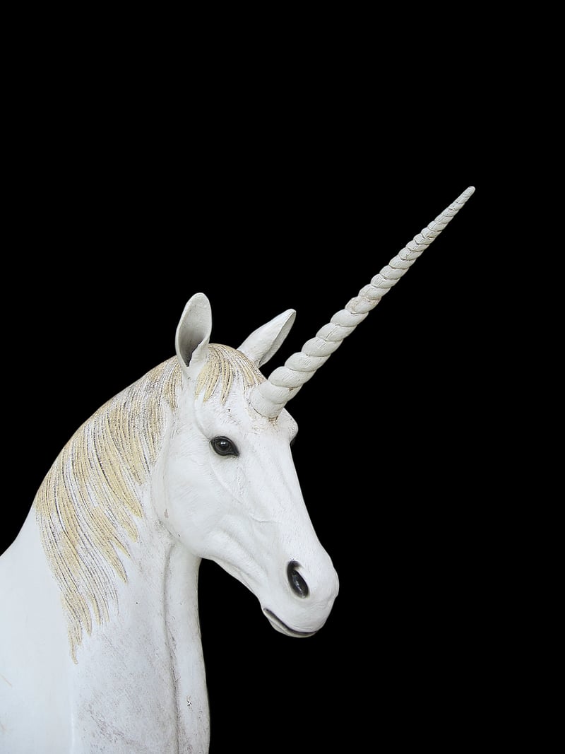 Majestic unicorn